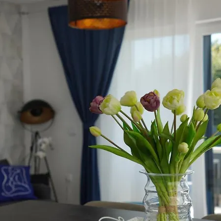 Διαμέρισμα Blue Shell