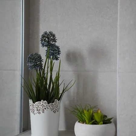 Blue Shell Διαμέρισμα