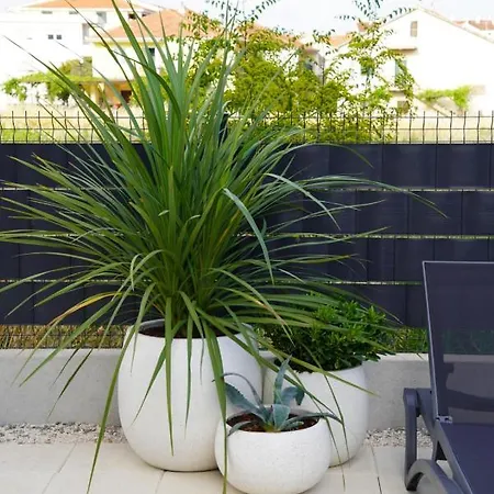 Blue Shell Διαμέρισμα *